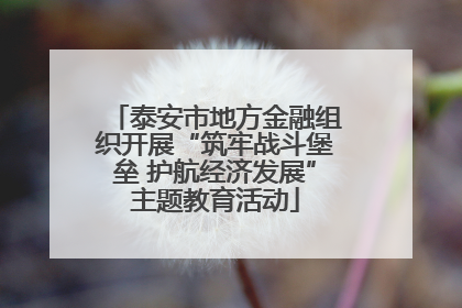 泰安市地方金融组织开展“筑牢战斗堡垒 护航经济发展”主题教育活动